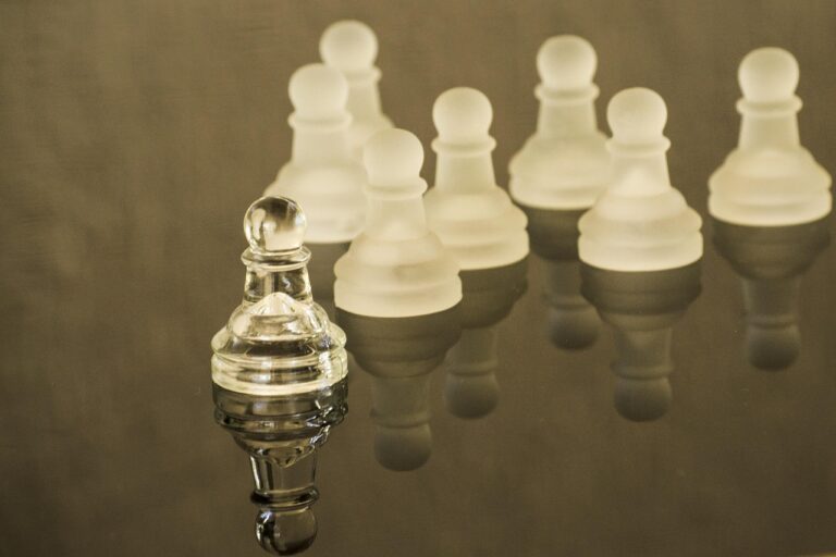 CEBA3 – Module 6 – La Formation au Leadership